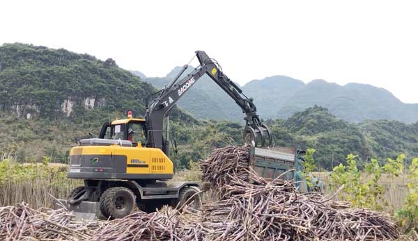 WX20181229-151854.jpg WX20181229-151854.jpg