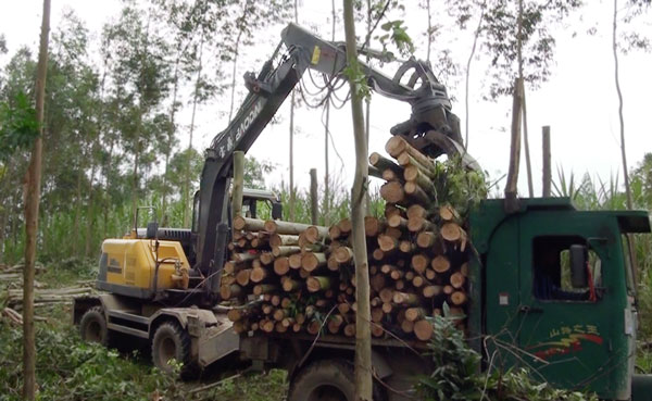 WX20181228-094435.jpg WX20181228-094435.jpg