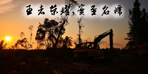 寶鼎輪式抓木機(jī) 寶鼎輪式抓木機(jī)