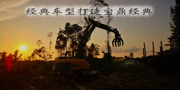 寶鼎抓木機廠家 寶鼎抓木機廠家