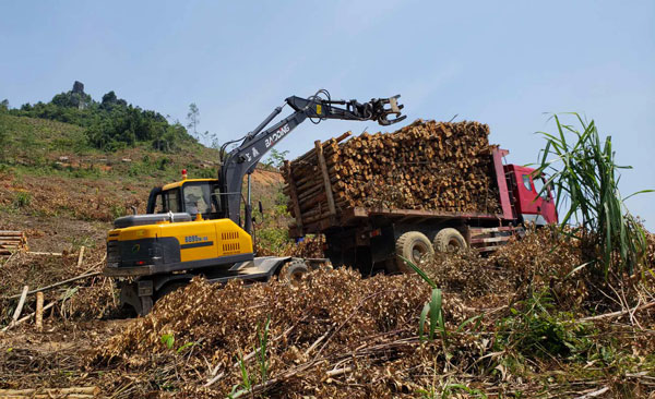 WechatIMG3.jpg WechatIMG3.jpg