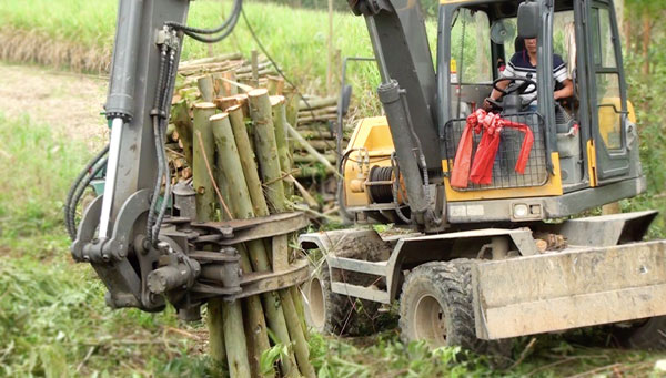 寶鼎抓木機95車型