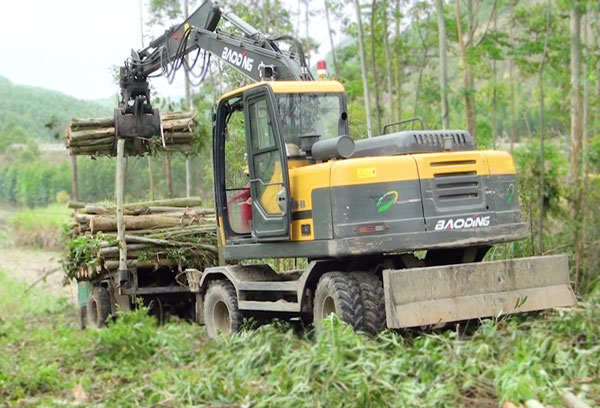 寶鼎抓木機廣西作業