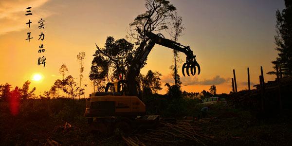 寶鼎輪式抓木機生產(chǎn)廠家 寶鼎輪式抓木機生產(chǎn)廠家