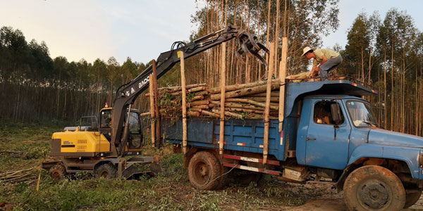 寶鼎95輪式抓木機 寶鼎95輪式抓木機
