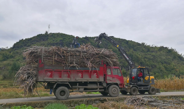 輪式挖掘機抓木機作業.jpg 輪式挖掘機抓木機作業.jpg