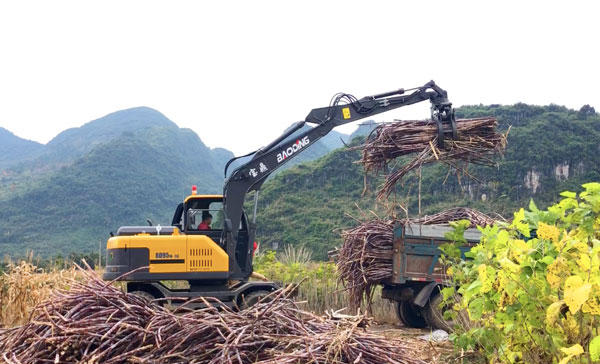 寶鼎95輪式抓木機.jpg 寶鼎95輪式抓木機.jpg