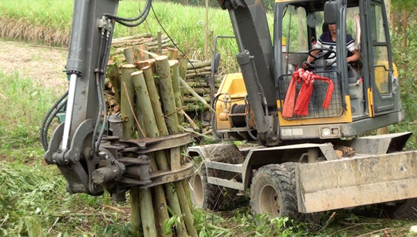 挖掘機抓木機作業.jpg 挖掘機抓木機作業.jpg