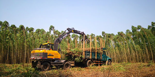 寶鼎輪式抓木機.jpg 寶鼎輪式抓木機.jpg