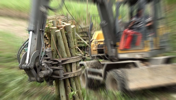 廣西抓木機做工現場.jpg 廣西抓木機做工現場.jpg