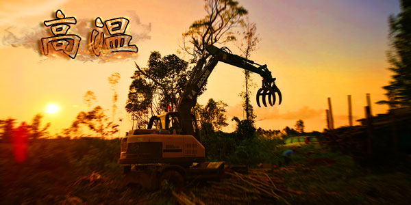 高溫下的抓木機做工.jpg 高溫下的抓木機做工.jpg