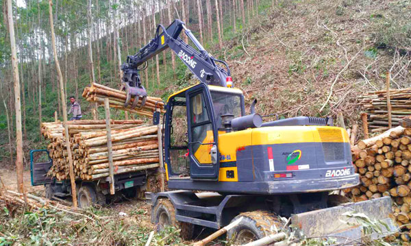 寶鼎抓木機.jpg 寶鼎抓木機.jpg