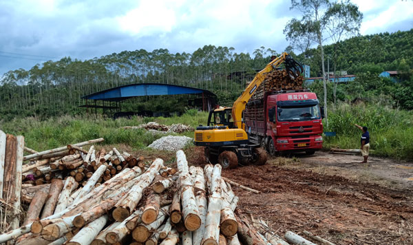 輪式抓木機80車型.jpg 輪式抓木機80車型.jpg