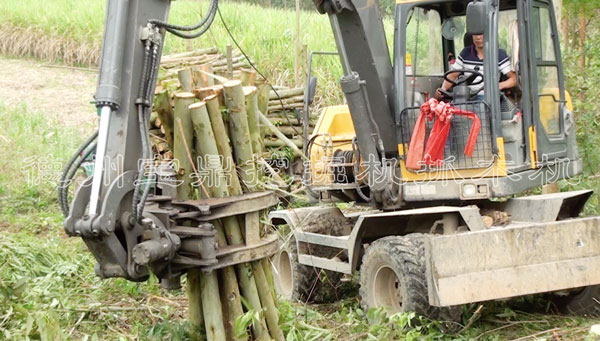 寶鼎抓木機.jpg 寶鼎抓木機.jpg