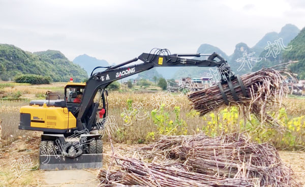 寶鼎抓木機廣西市場.jpg 寶鼎抓木機廣西市場.jpg