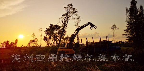 寶鼎抓木機高端品牌.jpg 寶鼎抓木機高端品牌.jpg