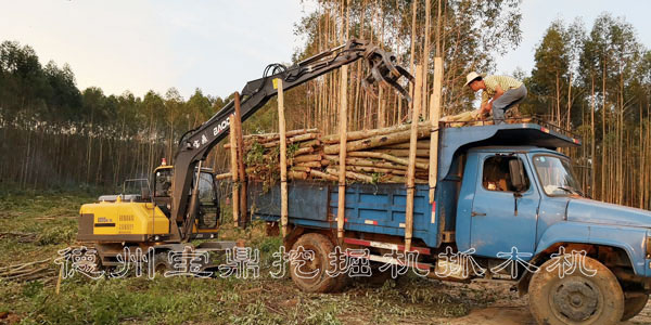 95寶鼎抓木機.jpg 95寶鼎抓木機.jpg
