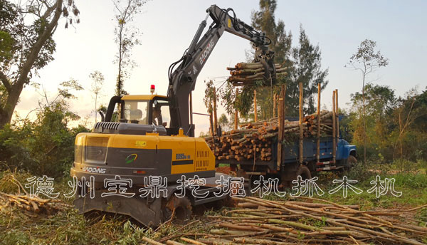 寶鼎95抓木機(jī)桉樹(shù)裝車.jpg 寶鼎95抓木機(jī)桉樹(shù)裝車.jpg