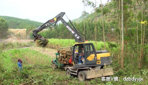 廣西市場下的寶鼎抓木機.jpg 廣西市場下的寶鼎抓木機.jpg