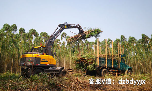寶鼎95抓木機桉樹裝車.jpg 寶鼎95抓木機桉樹裝車.jpg