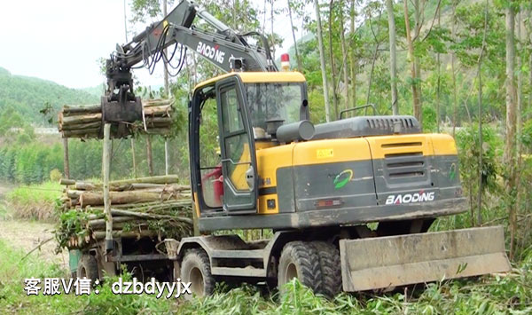 柳州市場上的寶鼎抓木機.jpg 柳州市場上的寶鼎抓木機.jpg