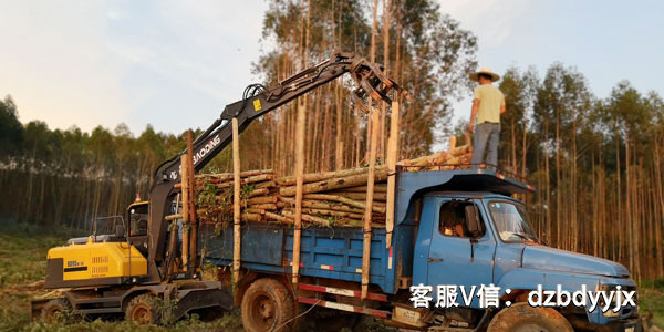 寶鼎多功能輪式小挖機抓木機.jpg 寶鼎多功能輪式小挖機抓木機.jpg