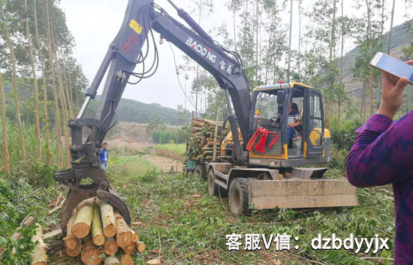 寶鼎95抓木機桉樹裝車作業.jpg 寶鼎95抓木機桉樹裝車作業.jpg