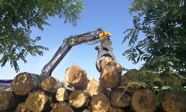 寶鼎95抓木機車型.jpg 寶鼎95抓木機車型.jpg