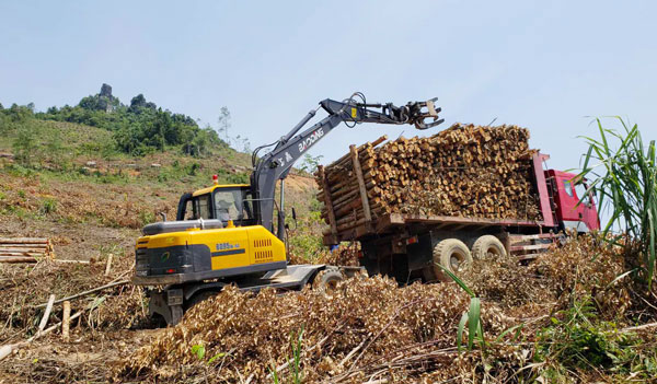 挖掘機抓木機多少錢?.jpg 挖掘機抓木機多少錢?.jpg