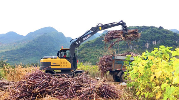 95抓木機.jpg 95抓木機.jpg