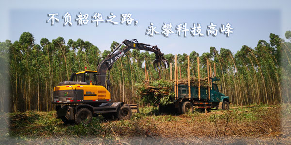 寶鼎95輪式抓木機廠家.jpg 寶鼎95輪式抓木機廠家.jpg