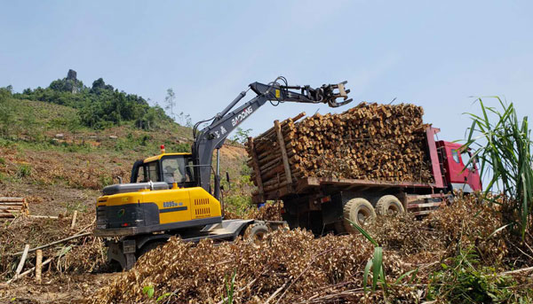 寶鼎抓木機廣東作業(yè)現(xiàn)場.jpg 寶鼎抓木機廣東作業(yè)現(xiàn)場.jpg