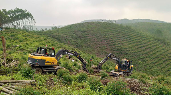 忙碌中的寶鼎抓木機.jpg 忙碌中的寶鼎抓木機.jpg