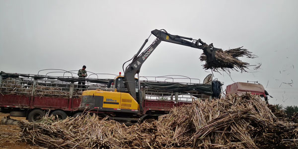 廣西市場上的寶鼎95抓木機甘蔗裝車作業(yè) 廣西市場上的寶鼎95抓木機甘蔗裝車作業(yè)