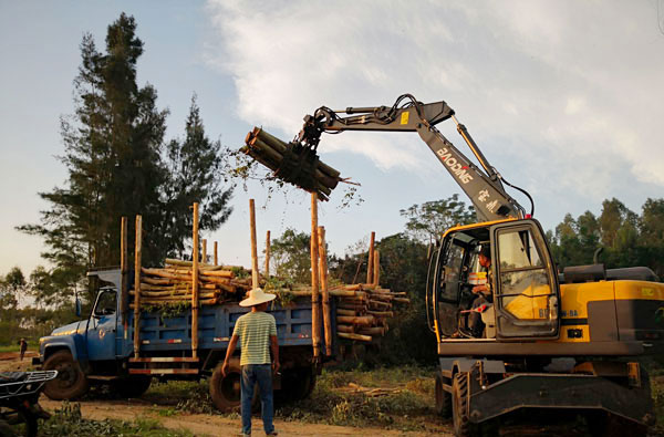 廣東市場上的寶鼎輪式挖掘機抓木機.jpg