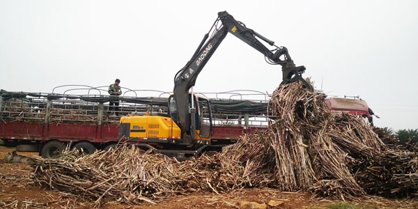寶鼎抓木機抓甘蔗現場.jpg 寶鼎抓木機抓甘蔗現場.jpg