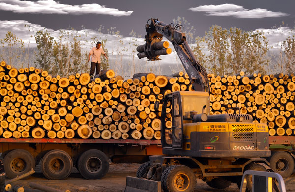 寶鼎挖掘機抓木機.jpg 寶鼎挖掘機抓木機.jpg