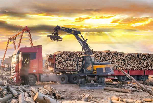 寶鼎輪式挖掘機抓木機.jpg 寶鼎輪式挖掘機抓木機.jpg