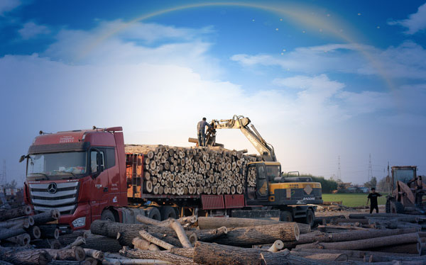 寶鼎抓木機95車型.jpg 寶鼎抓木機95車型.jpg