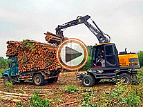寶鼎廣西抓木機操作視頻裝車 寶鼎廣西抓木機操作視頻裝車