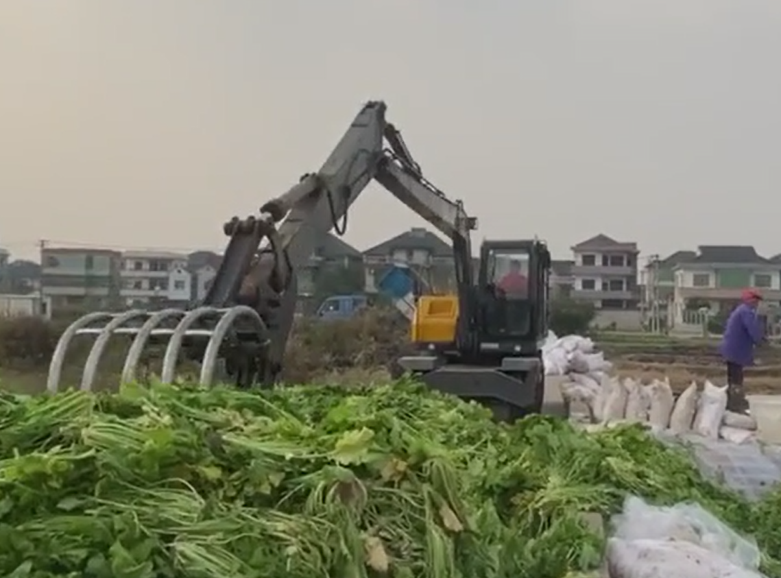 寶鼎加長(zhǎng)臂抓料機(jī)