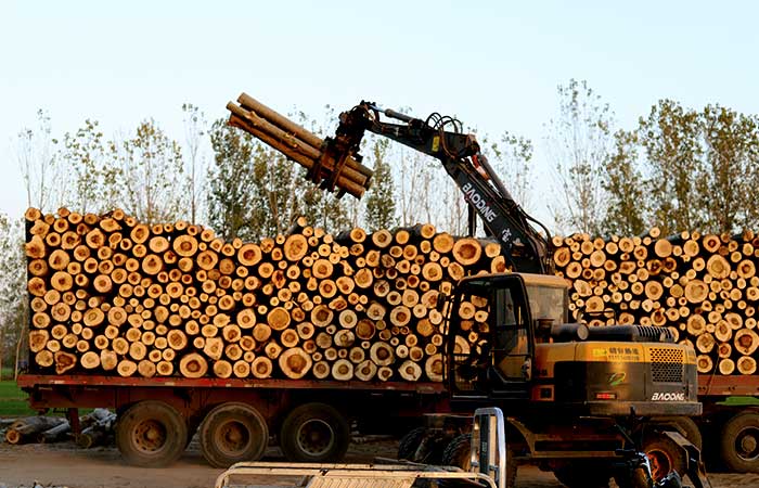 抓木機(jī)市場(chǎng) 抓木機(jī)市場(chǎng)