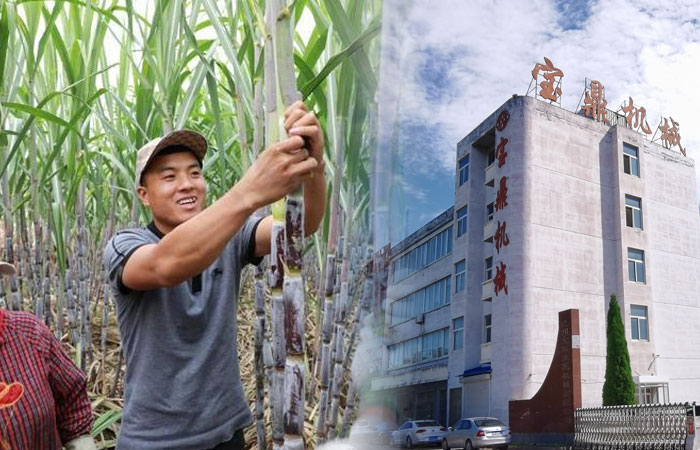 寶鼎抓甘蔗機 寶鼎抓甘蔗機