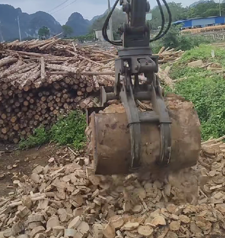 貝殼斗.png 貝殼斗.png