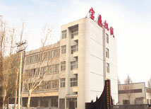 寶鼎挖掘機公司廠區(qū)外景