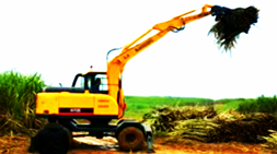 我國將全面推動農業自動化寶鼎抓木機(甘蔗抓裝機)廣西大顯身手