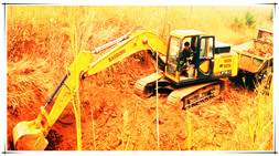 山東寶鼎小型挖掘機械產品以高的性價比贏得廣大農村市場