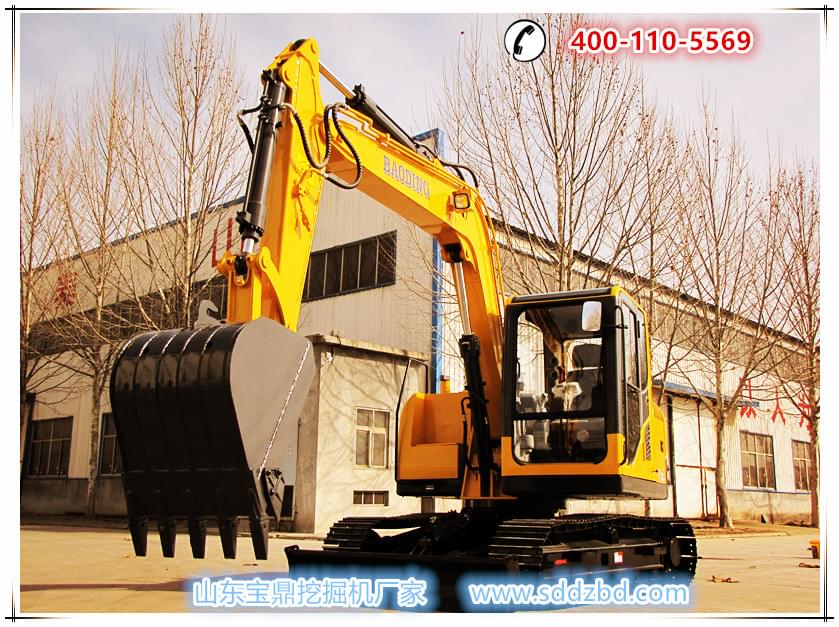 每個細節(jié)臻于完美，寶鼎小型挖掘機高端履帶產(chǎn)品WY80亮相