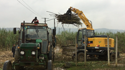 寶鼎小型挖掘機考慮您的一切，做您走向幸福道路的佳伴侶