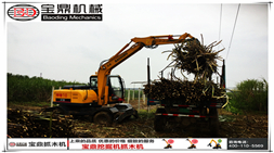 2017年初寶鼎抓木機產(chǎn)品在甘蔗收獲和林木裝卸市場依舊熱銷